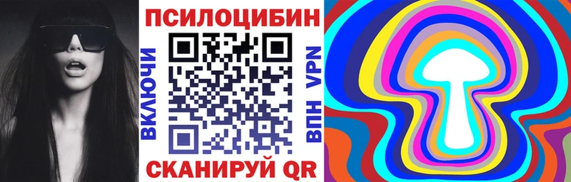 где найти   Котельнич  Псилоцибиновые грибы MAGIC MUSHROOMS 