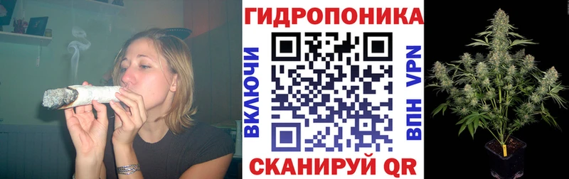 кракен сайт  купить наркоту  Котельнич  дарк нет формула  Бошки марихуана SATIVA & INDICA 